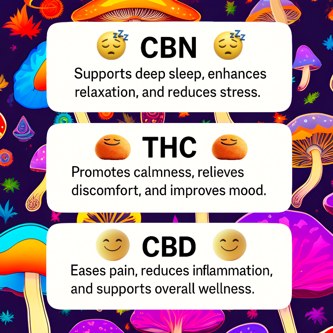1. CBN+THC: Deep Sleep Mushroom Gummies🍄 (NEW PRODUCT)