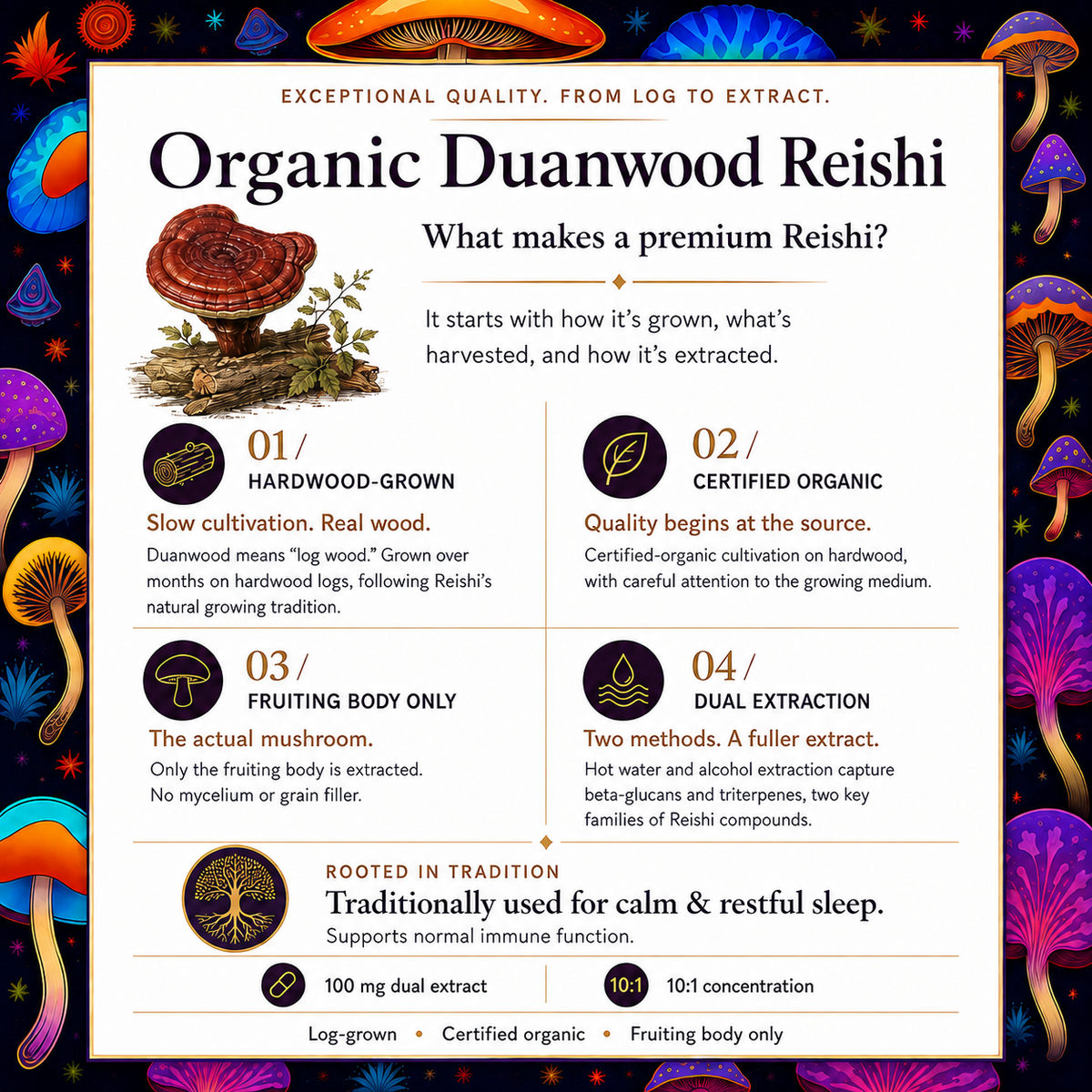 Deep Sleep Mushroom Gummies ( Organic Reishi + Magnesium Glycinate + L-theanine + Melatonin. ( NEW PRODUCT )